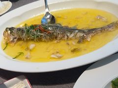 -秀儿四九城·新京菜(亚运村鸟巢店)