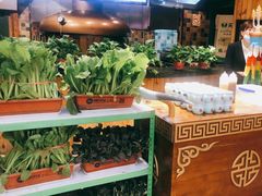 -额尔敦传统涮(公园西路店)