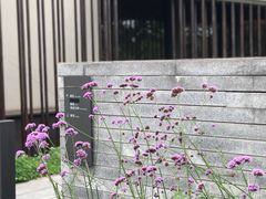 -木守西溪溪隐餐厅