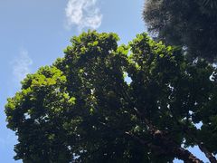-牛王庙(龙华花园店)