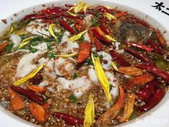 -太二酸菜鱼(石家庄万象城店)