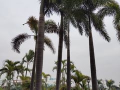 -广州科尔海悦酒店