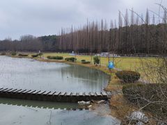 -宜兴龙背山森林公园