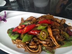 -云中小雅
