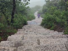 -北京西山国家森林公园