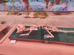 -陕西自然博物馆