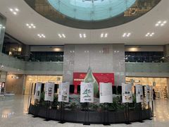 -金陵图书馆