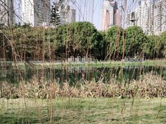 -南宁南湖公园