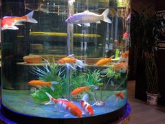 -08涮肉坊(广顺南大街店)