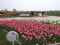 -南通鲜花小镇