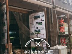 -中环花鸟鱼虫市场