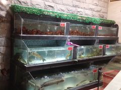 -巴陵全鱼席(湖南老字号汴河街店 )