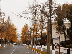 -四川大学(望江校区)