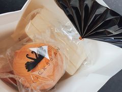 -BLACKSWAN黑天鹅(环球店)
