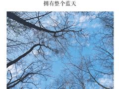 -金孔雀温泉旅游度假村