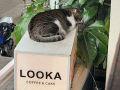 -LOOKA COFFEE(大鹏所城店)