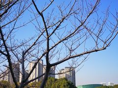-新江湾城公园
