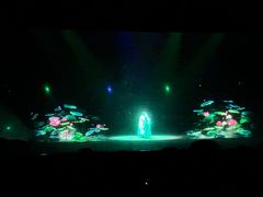 -芜湖方特东方神画