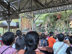 -海南槟榔谷黎苗文化旅游区