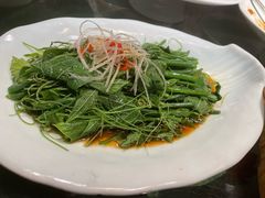 -四世同堂·京菜·烤鸭(双井店)