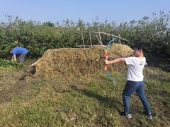 -樂桃源奉贤黄桃种植采摘基地