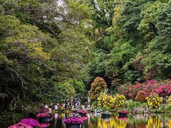 -深圳仙湖植物园