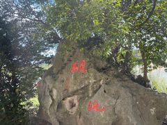 -宜兴龙背山森林公园