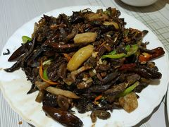 -蒙古缘饭店(额尔古纳云杉宾馆店)