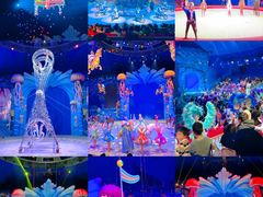 -海合安武汉极地海洋公园
