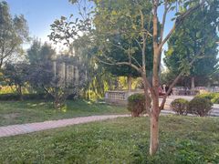 -竹叶涮肉坊(总店)