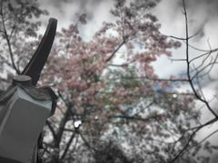 -火炉山森林公园