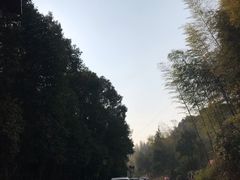 -山湖温泉
