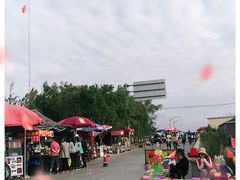 -南汇新城海滩