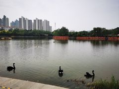-南翠屏公园
