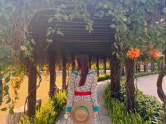 -龙环葡韵住宅式博物馆