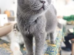 -平行世界·猫咖(首经贸店)