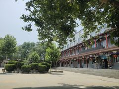 -东方巨龟苑景区