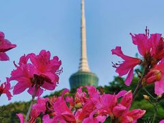 -梧桐山风景名胜区