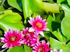 -陶然亭公园