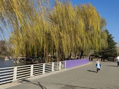 -石家庄市植物园