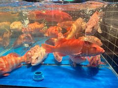 -阿明小菜·海鲜·上海菜(梅陇店)