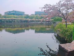-嘉定紫藤园