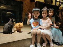 -more than meow吴止猫主题餐厅(承德 中船汇店)