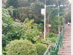 -中山公园(石岐街道)