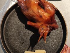 -大鸽饭(体育西路店)
