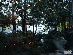 DSC03521-星巴克(西湖天地店)