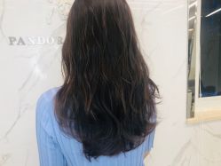 -潘多拉Hairsalon