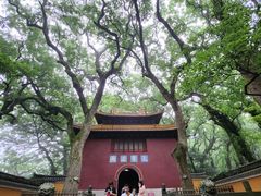 -普陀山风景名胜区-法雨禅寺
