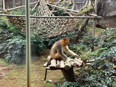 -香港海洋公园