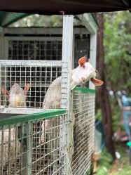 -可可天空农场(中大店)